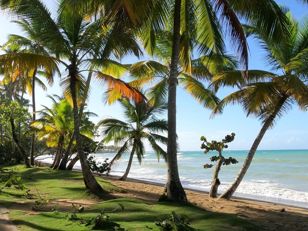 Hotel Bahia Punta Bonita Las Terrenas Dış mekan fotoğraf